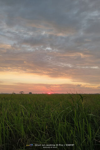 Serene Sunset Over Green Fields 🌅🌾