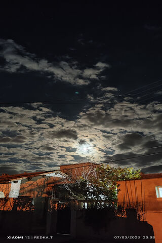 Moonlit Whispers: A Nig..