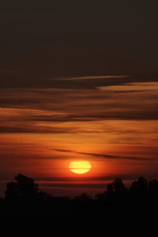 Sunrise With Trees