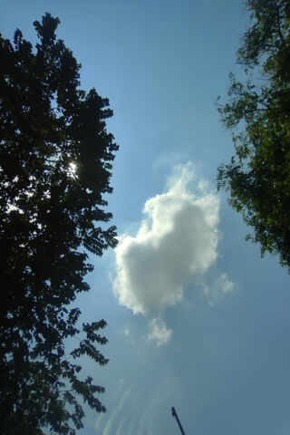Heart-Shaped Cloud in a..