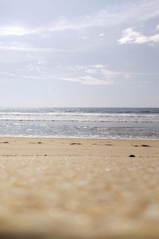 Tranquil Shoreline Bliss 🌊☀️