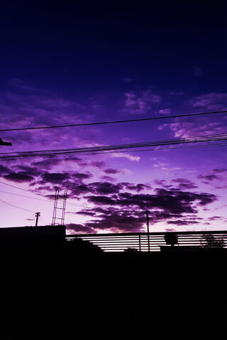 Magical Purple Sunset 🌅✨
