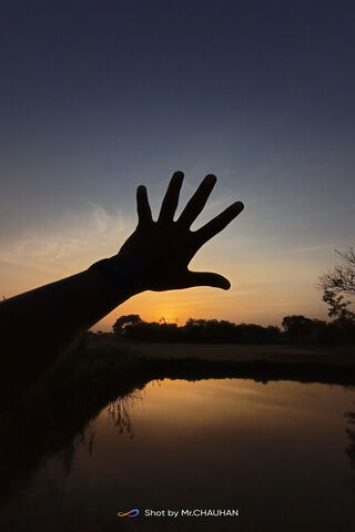 Reaching for the Sunset..