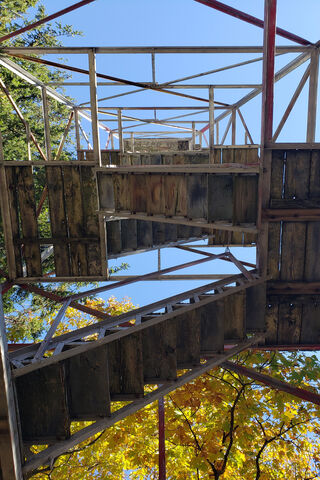 Upward Perspective: The Towering Stairs 🌳🔭
