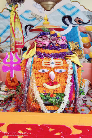 Vibrant Celebration of ..