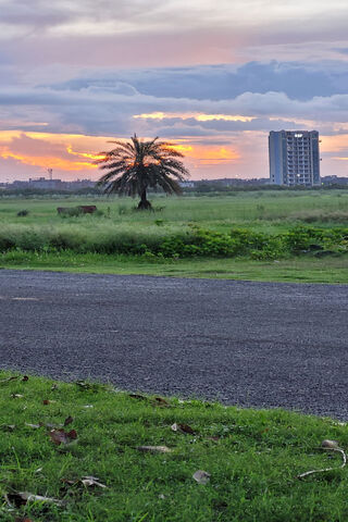Serene Sunset Over Urban Landscape 🌅🏙️