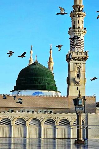 The Prophet's Mosque