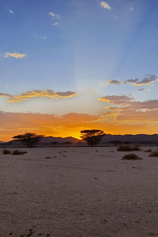 Desert Sunset Magic 🌅✨