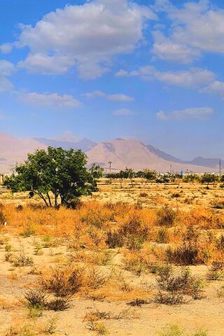 The Landscape