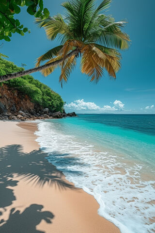 Tropical Beach