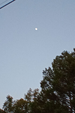 Serene Evening Moon 🌙