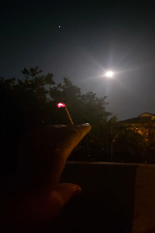 Moonlit Moments 🌙✨