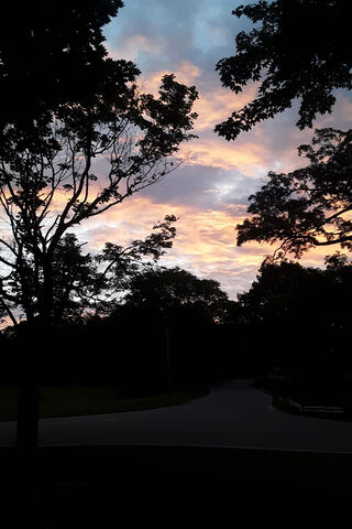 Serene Sunset Silhouett..