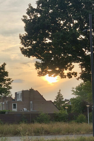 Sunset Serenity 🌅