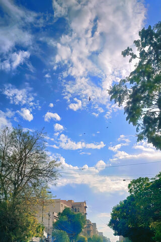 Serene Sky Over the Cit..