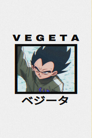 Vegeta: The Saiyan Prin..