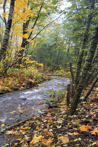Autumn Serenity by the ..