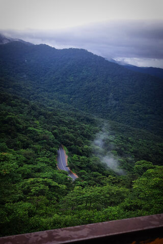 Serene Mountain Road 🌲..