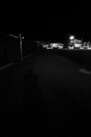 Nighttime Stroll 🌙