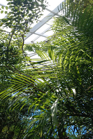 Welcome To The Jungle