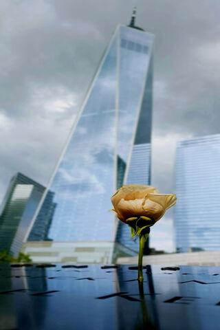 WTC NYC