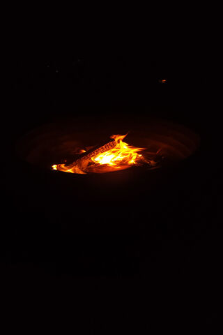 Wood Campfire