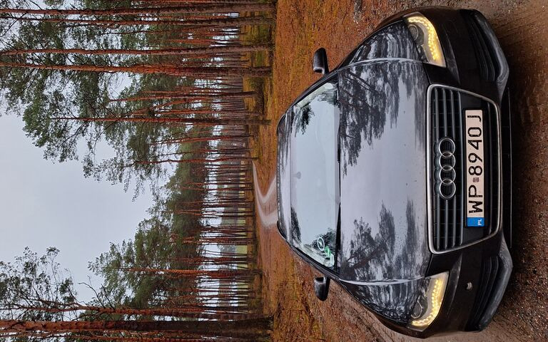 Audi Adventure in the W..