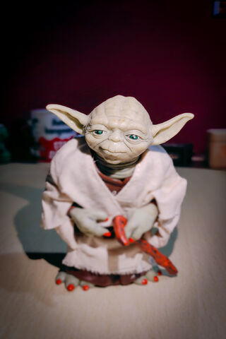 Wise Jedi Master