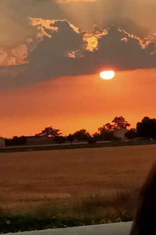 Breathtaking Sunset Over Golden Fields 🌅