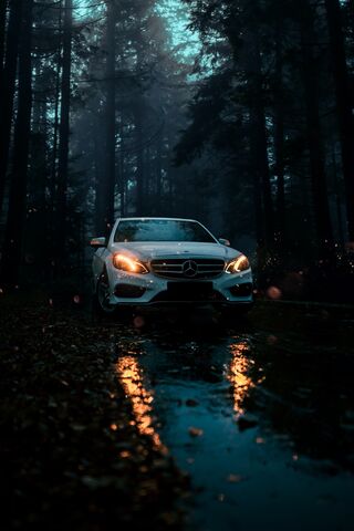 Mystical Drive Through ..