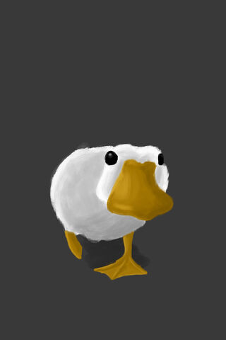 A Wise Quacker Duck Drawing