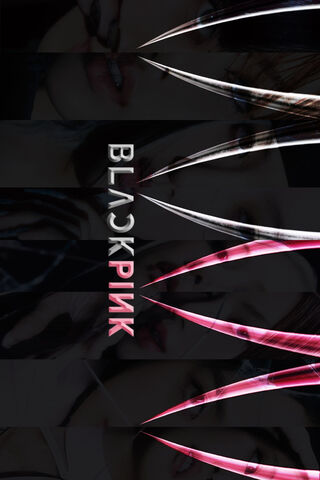 BLACKPINK BORN PINK 3