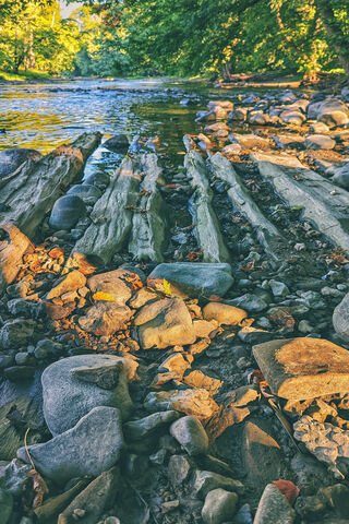 Tranquil Riverbank Sere..