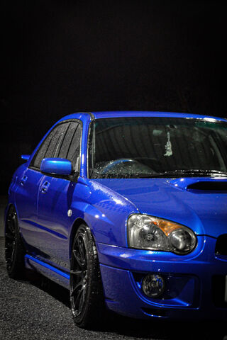 Sleek Blue Beauty Under..