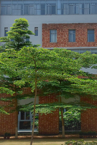 Urban Oasis 🌳🏢