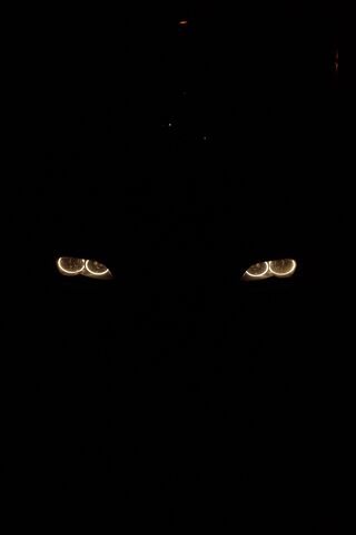BMW E46 Angel Eyes