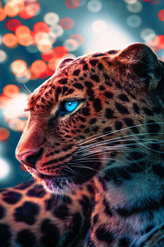 Majestic Leopard in the Spotlight 🐆✨