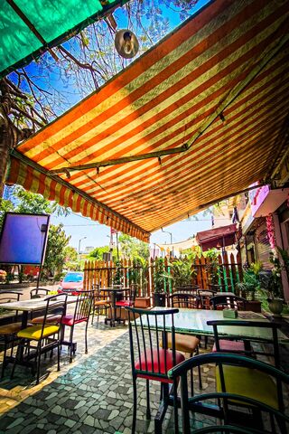 Vibrant Vibes: A Colorf..