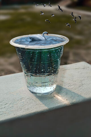 Swan in a Cup: A Dreamy Illusion 🦢✨