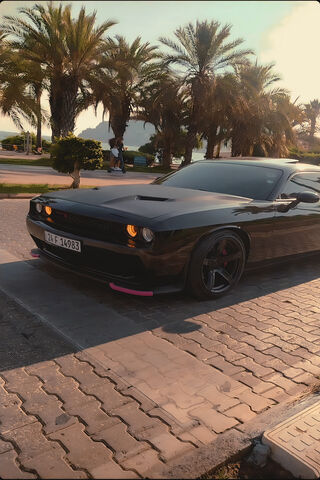 Sleek Black Challenger ..