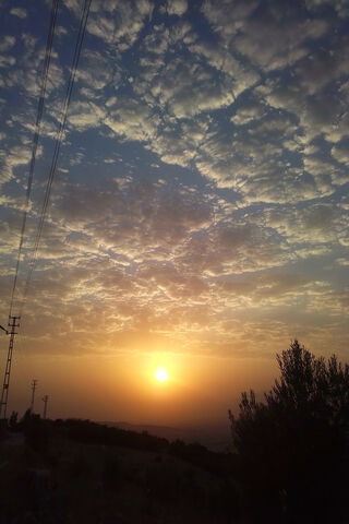 Golden Horizon 🌅