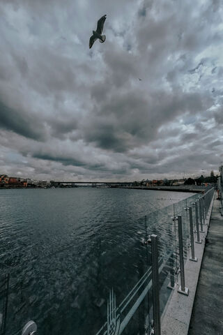 Serene Waters Under a D..