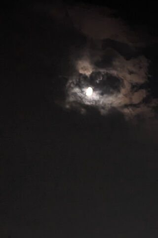 Enigmatic Moonlit Night..