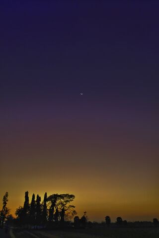 Evening