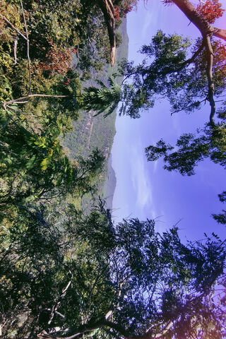 Serene Mountain View 🌄🌿