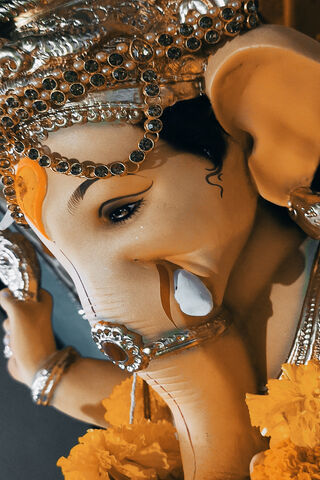 Divine Elegance: The Gr..
