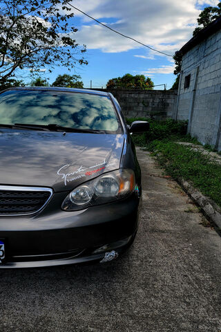 Grisito: The Stylish Ride