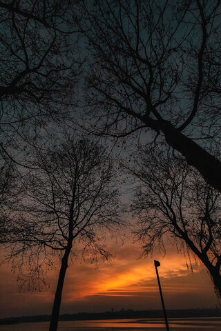 Serene Sunset Silhouett..
