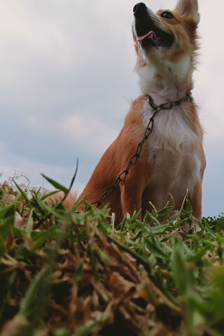 Ganesh Kamatham: The Jo..