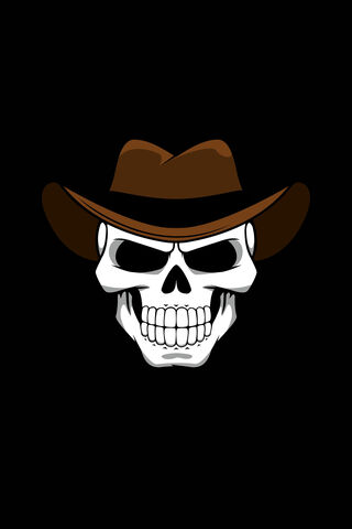 Cowboy Skull Vibes 🤠💀